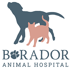 Borador Animal Hospital